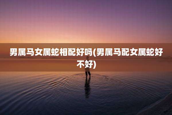 男属马女属蛇相配好吗(男属马配女属蛇好不好)