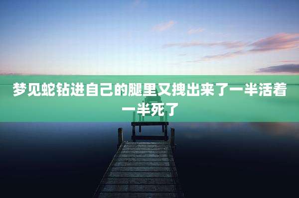 梦见蛇钻进自己的腿里又拽出来了一半活着一半死了