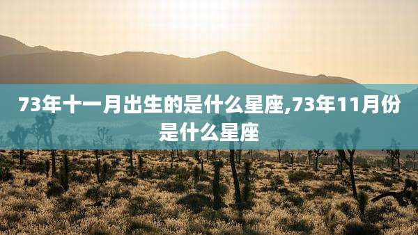 73年十一月出生的是什么星座,73年11月份是什么星座