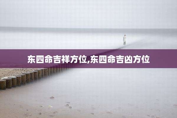 东四命吉祥方位,东四命吉凶方位