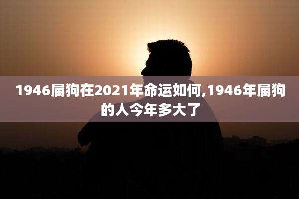 1946属狗在2021年命运如何,1946年属狗的人今年多大了