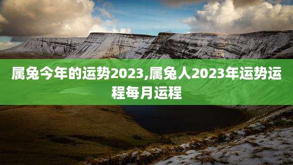 属兔今年的运势2023,属兔人2023年运势运程每月运程