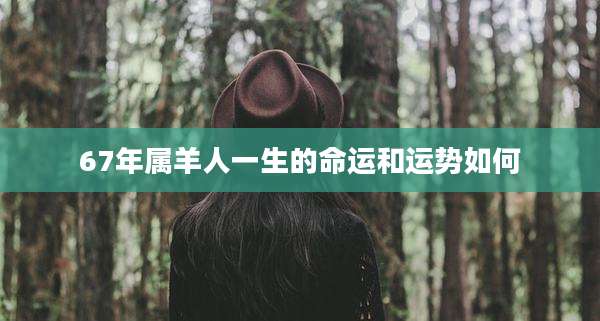 67年属羊人一生的命运和运势如何