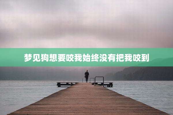 梦见狗想要咬我始终没有把我咬到