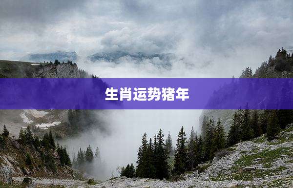 生肖运势猪年