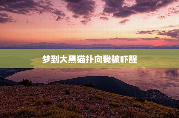 梦到大黑猫扑向我被吓醒