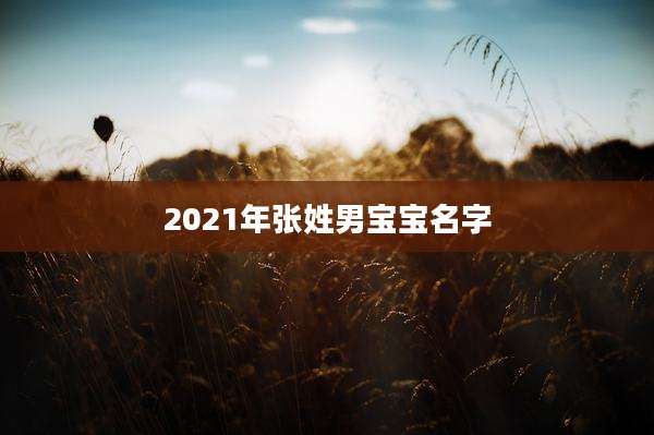 2021年张姓男宝宝名字