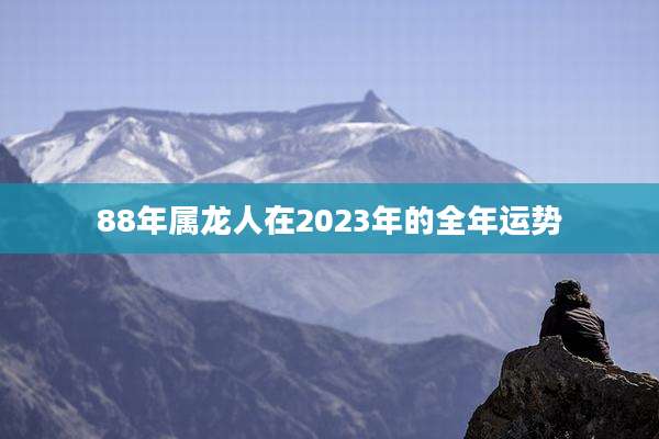 88年属龙人在2023年的全年运势