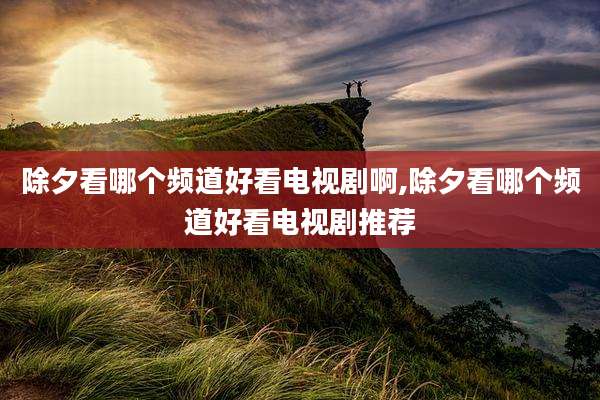 除夕看哪个频道好看电视剧啊,除夕看哪个频道好看电视剧推荐