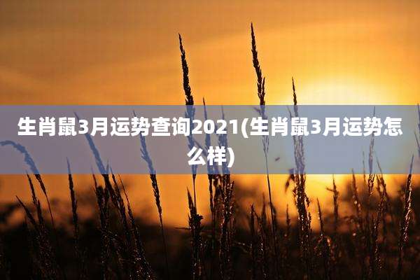 生肖鼠3月运势查询2021(生肖鼠3月运势怎么样)