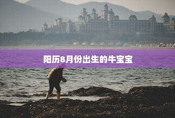 阳历8月份出生的牛宝宝