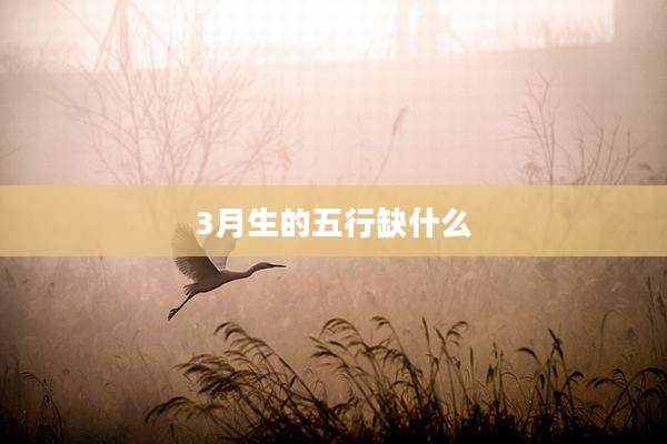 3月生的五行缺什么
