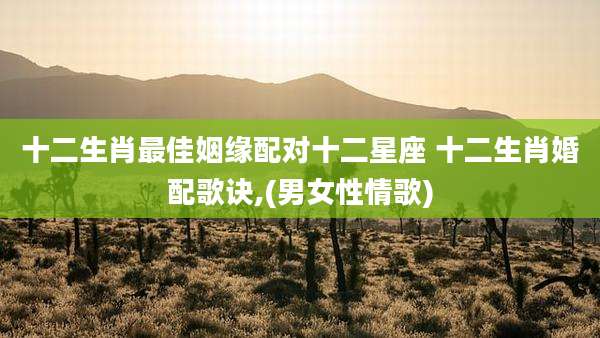 十二生肖最佳姻缘配对十二星座 十二生肖婚配歌诀,(男女性情歌)