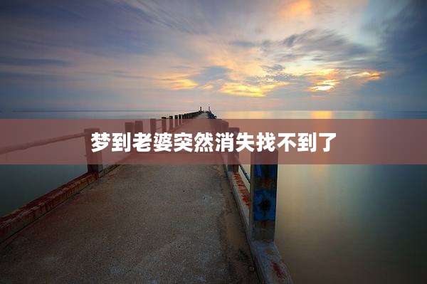 梦到老婆突然消失找不到了
