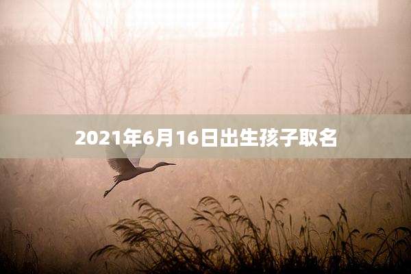 2021年6月16日出生孩子取名