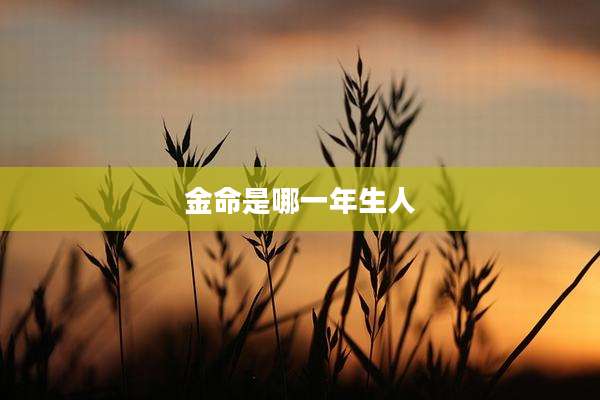 金命是哪一年生人