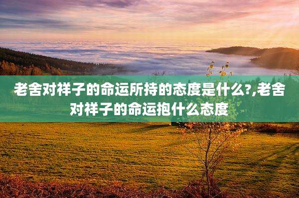 老舍对祥子的命运所持的态度是什么?,老舍对祥子的命运抱什么态度