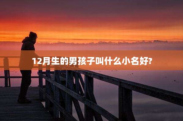 12月生的男孩子叫什么小名好?