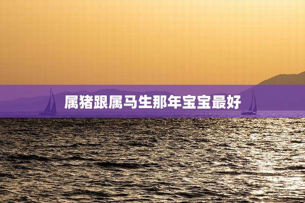 属猪跟属马生那年宝宝最好