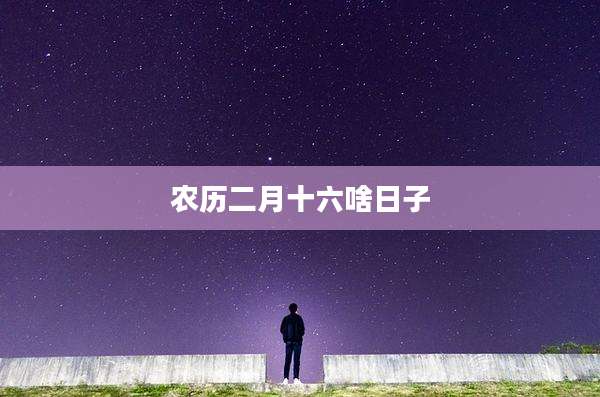 农历二月十六啥日子