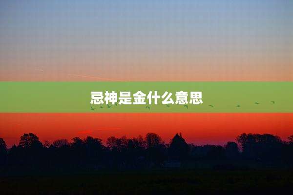 忌神是金什么意思