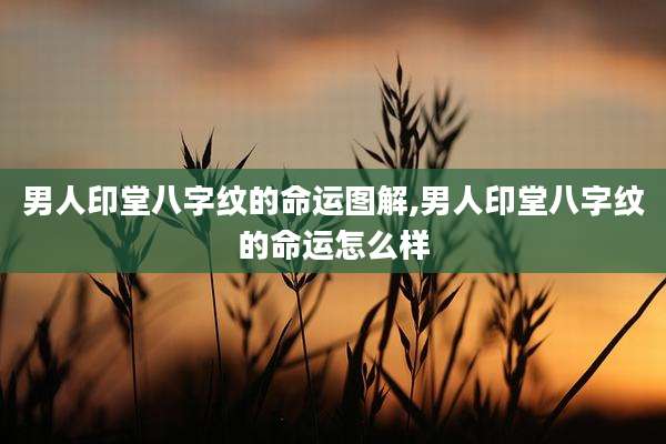 男人印堂八字纹的命运图解,男人印堂八字纹的命运怎么样
