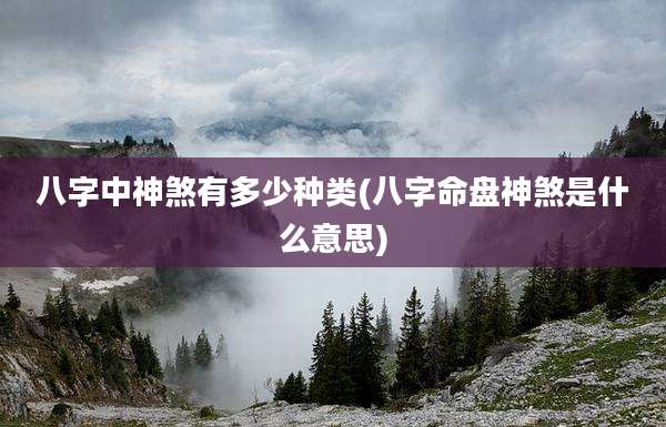 八字中神煞有多少种类(八字命盘神煞是什么意思)
