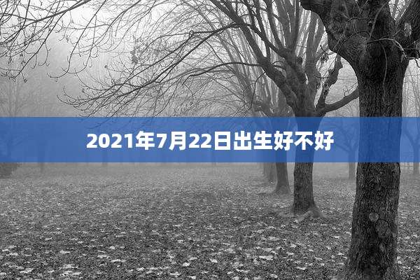 2021年7月22日出生好不好