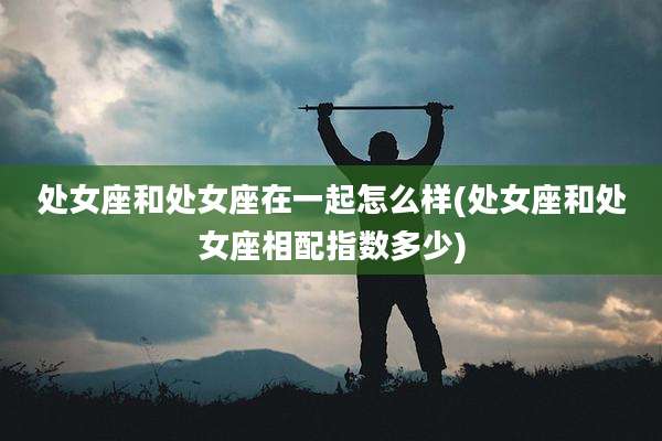 处女座和处女座在一起怎么样(处女座和处女座相配指数多少)