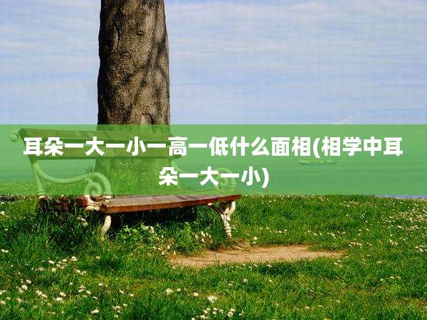 耳朵一大一小一高一低什么面相(相学中耳朵一大一小)