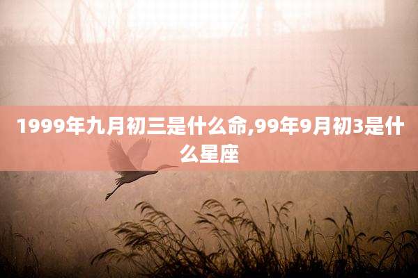 1999年九月初三是什么命,99年9月初3是什么星座