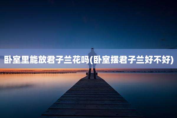 卧室里能放君子兰花吗(卧室摆君子兰好不好)