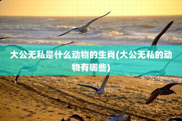 大公无私是什么动物的生肖(大公无私的动物有哪些)
