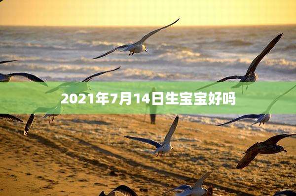 2021年7月14日生宝宝好吗