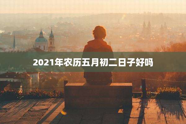 2021年农历五月初二日子好吗