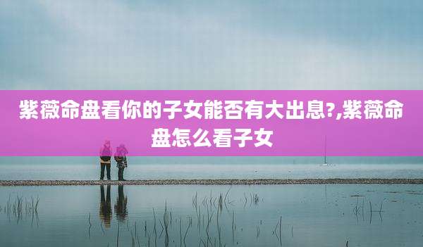 紫薇命盘看你的子女能否有大出息?,紫薇命盘怎么看子女