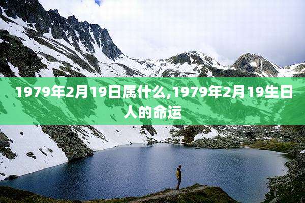 1979年2月19日属什么,1979年2月19生日人的命运