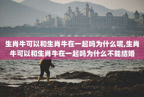 生肖牛可以和生肖牛在一起吗为什么呢,生肖牛可以和生肖牛在一起吗为什么不能结婚
