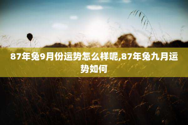 87年兔9月份运势怎么样呢,87年兔九月运势如何