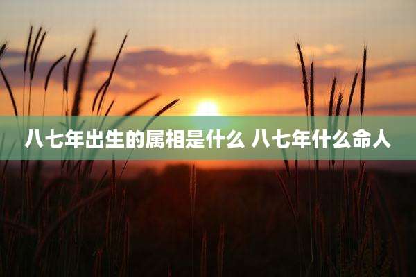 八七年出生的属相是什么 八七年什么命人