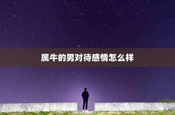 属牛的男对待感情怎么样