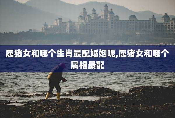 属猪女和哪个生肖最配婚姻呢,属猪女和哪个属相最配