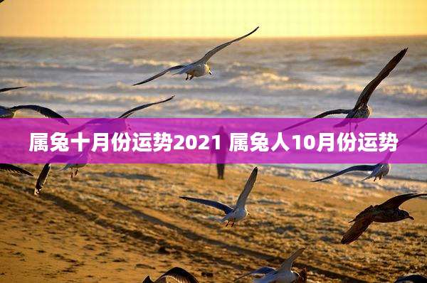 属兔十月份运势2021 属兔人10月份运势