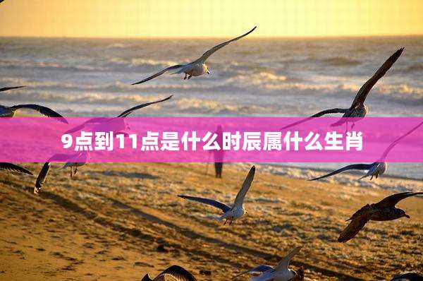 9点到11点是什么时辰属什么生肖