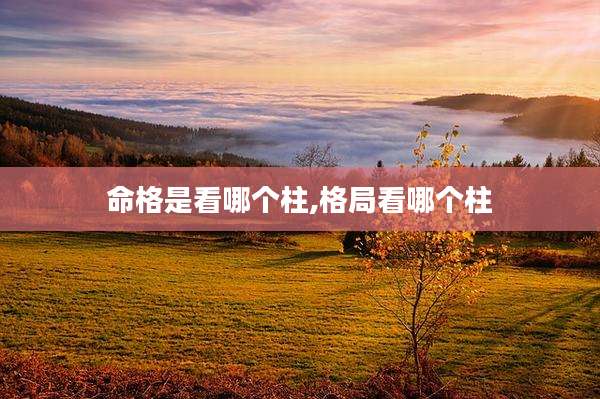 命格是看哪个柱,格局看哪个柱