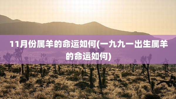 11月份属羊的命运如何(一九九一出生属羊的命运如何)