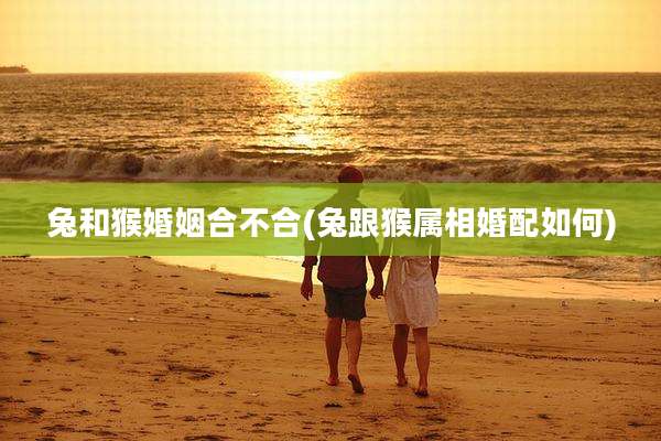 兔和猴婚姻合不合(兔跟猴属相婚配如何)