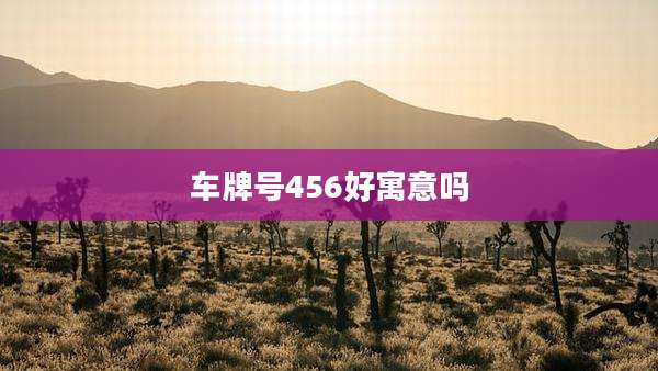 车牌号456好寓意吗