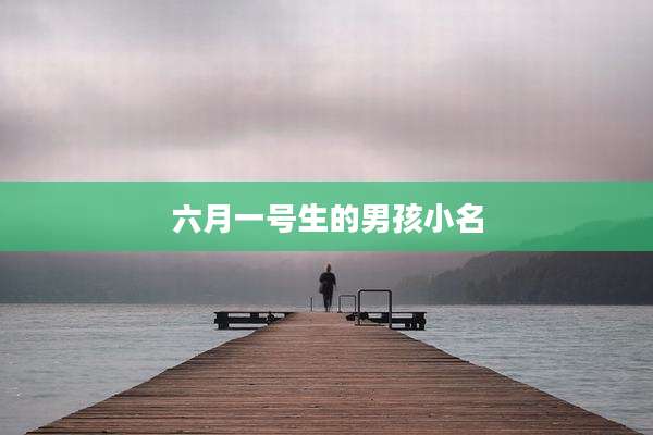 六月一号生的男孩小名