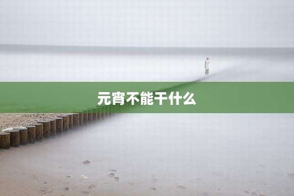 元宵不能干什么